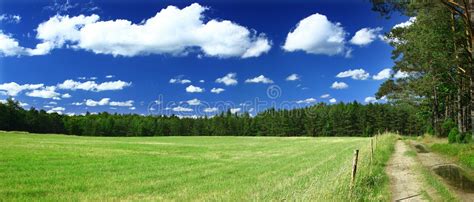 Panoramic View Of Blissful Grassland Stock Image Image Of Landscape