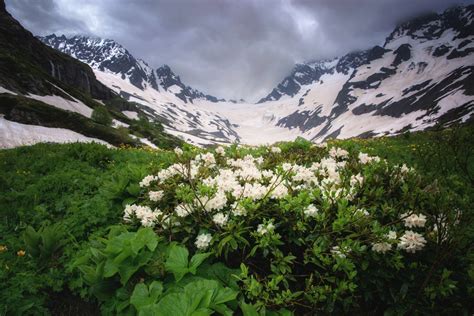 Альпийские луга и горы - 74 фото