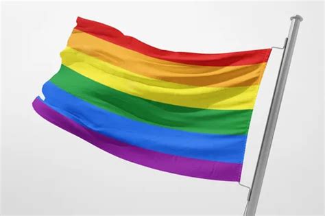 Bandera Comunidad Lgbt Pride Orgullo Gay Arcoiris X Mercadolibre
