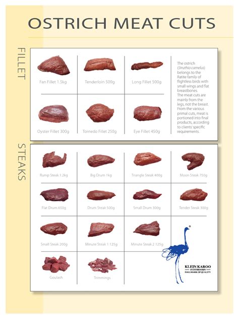 Ostrich Meat Cuts Leaflet | PDF