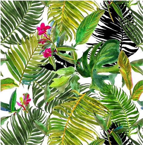 Update Tropical Leaves Wallpaper In Coedo Vn