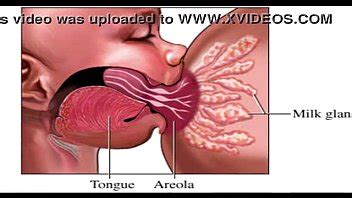 Lactation Search Page 7 XVIDEOS