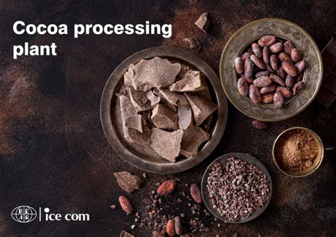 Cocoa Processing | Chocolate & Cocoa Processing | Icecom