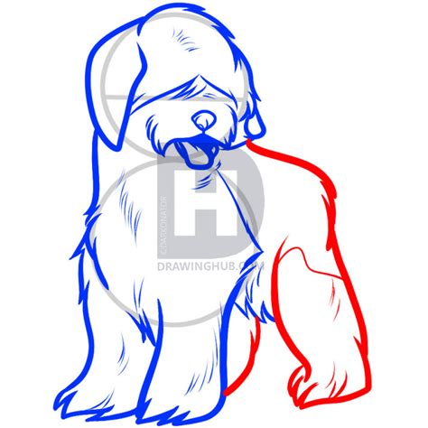 Sheepdog Drawing Free Download On Clipartmag