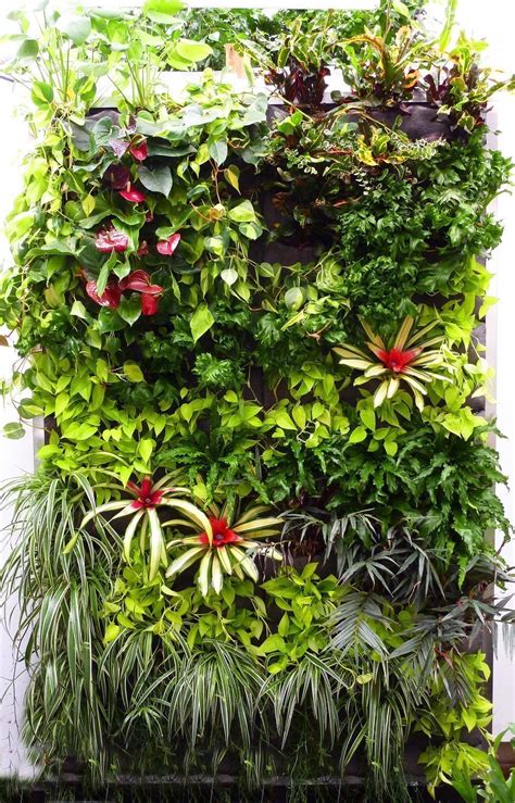 Florafelt Tropical Wall Displays At San Francisco Foliage Plants On Walls