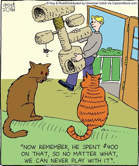 Cat Toy And Cats Quote Funny Cat Jokes Funny Cat Memes Funny Cartoons