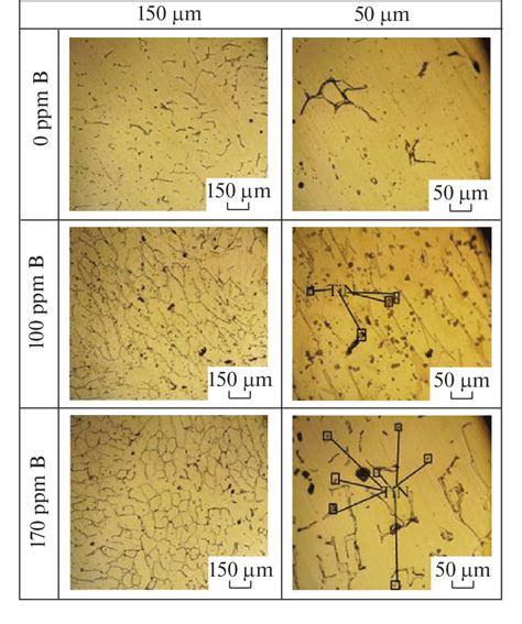 Microstructure Of Cast Stainless Steels As A Functions Of B Content