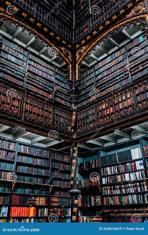 Beautiful Library Building View From Perdana Park Tanjung Aru Kota