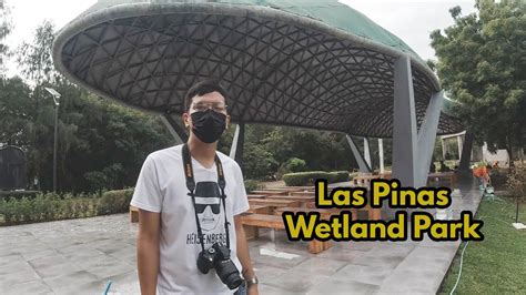 Virtual Travel To Las Pinas Paranaque Wetland Park YouTube