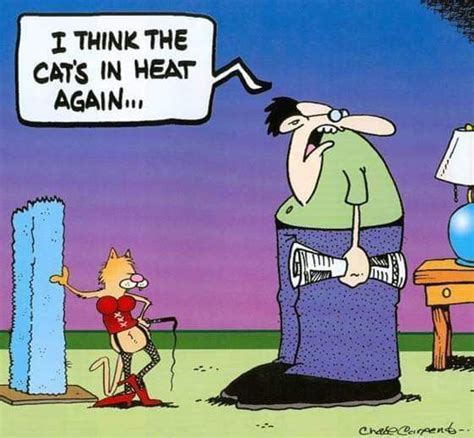 Pin By Julie Fenn On Cats Cartoon Jokes Funny Cartoons Cat In Heat