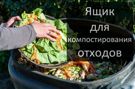 Дождевые черви Старатель для компоста - Диптера