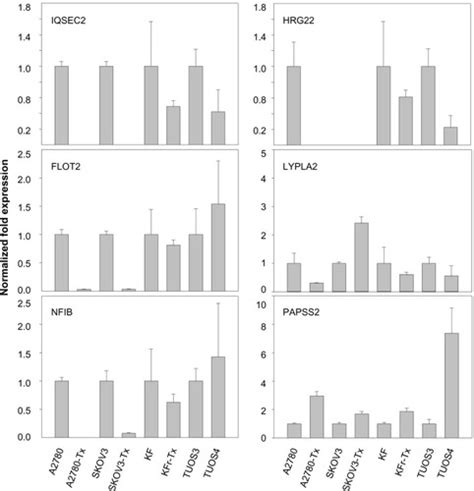 Full Article Differential MicroRNA Expression Signatures And Cell Type