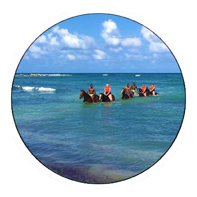 Horseback Riding Half Moon Equestrian Montego Bay Jamaica Tours