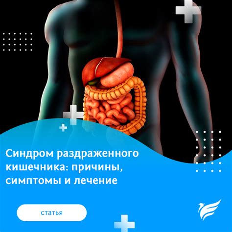 Синдром раздраженного кишечника: причины, симптомы и лечение — Teletype