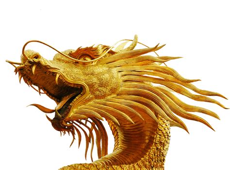 png dragon images dragon fire fantasy dragon pictures
