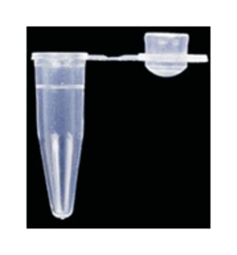 Axygen PCR Tubes With 0 2 ML Dome Cap Clear Domed 0 2 ML Maxymum