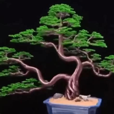 Kisah Seorang Mantan Karyawan Spbu Jadi Pengusaha Miniatur Bonsai Kawat