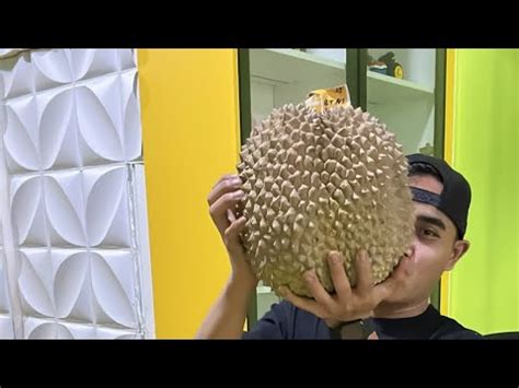 DURI HITAM TERBESAR DI DUNIA Durian Duriandurihitam Masduren YouTube