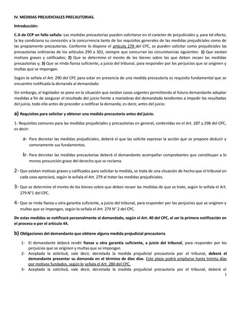 Medidas Precautorias Resumen Extendido Iv Medidas Prejudiciales