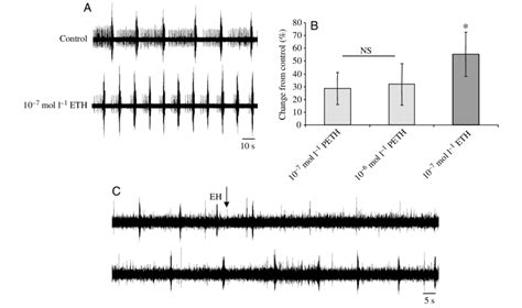 A Extracellular Recording From The Frontal Connective In An Isolated Download Scientific