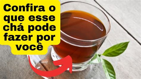 MUITO MELHOR Para Que Serve A Cana Do Macaco As Propriedades Dessa