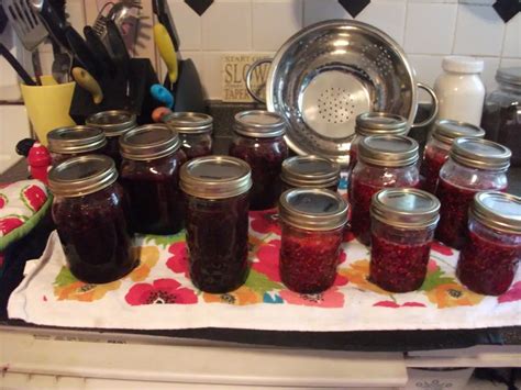 Jam 101 How To Make Jam With Whatever Fruit You Have On Hand The Organic Prepper