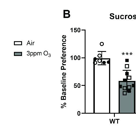 Effects Of Saa And Triple Knockout On Weight Loss A Serum