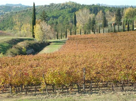 Fall In Tuscany Bikeinflorence