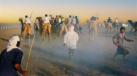 Camel Racing in Dubai 1980s