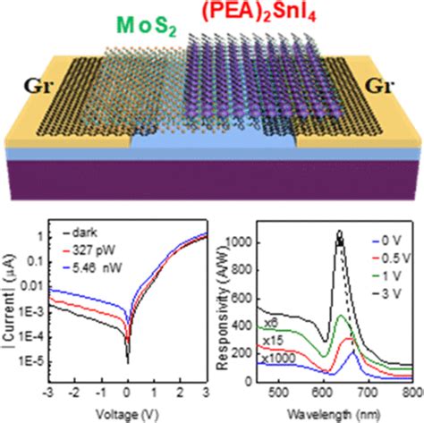 High Performance Photodetectors Based On Lead Free D Ruddlesdenpopper