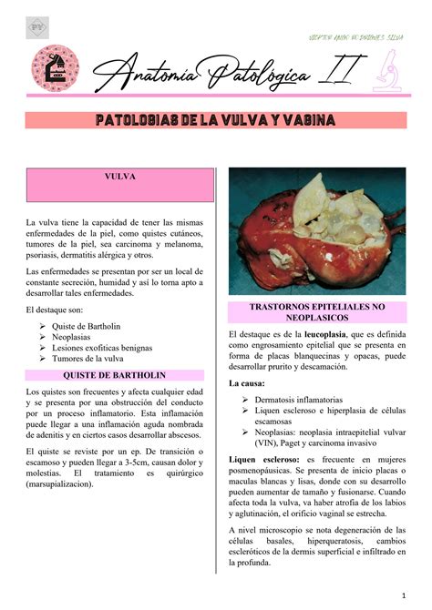 SOLUTION Patologias De La Vulva Y Vagina Studypool
