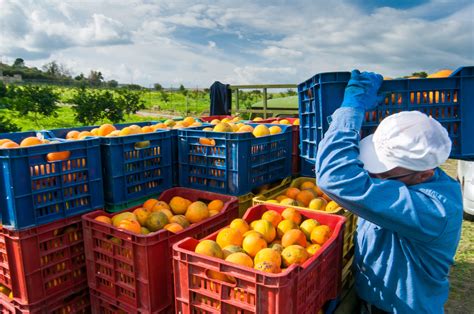 Federal Court Rules Against Attempted Freeze of Farmworker Wages ...