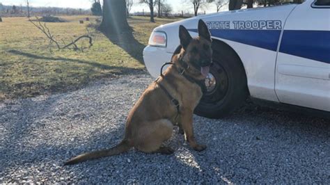 Indiana State Police K9 Tora Receives Body Armor Thanks To Donation