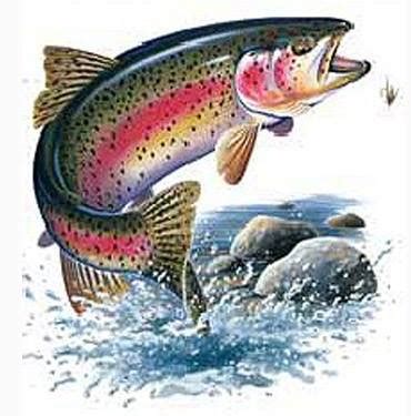 Fisheries Forever, Inc. | Green Bay WI