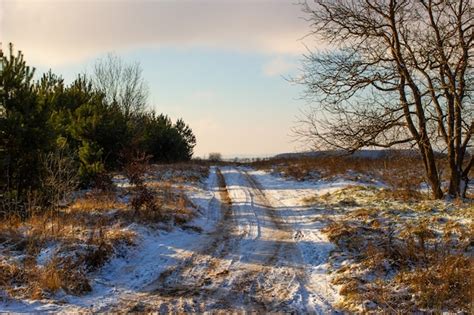 Premium Photo | Beautiful landscape in winter without snow