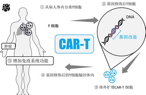 大数华创助力优赛诺生物，用科技助力健康