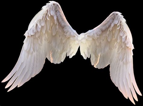 Wings png for editing – Artofit