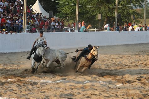 Parque Haras S O Jos Vaquejada Em Juripiranga