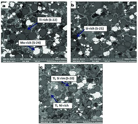 SEM Micrographs Of Ti Al Mo Si Ni Sintered High Entropy Alloy A 800