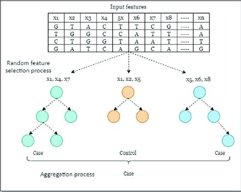 Random Forest In Genetics Application Download Scientific Diagram