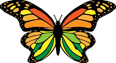 Schmetterling Png Grafik Clipart Design Png