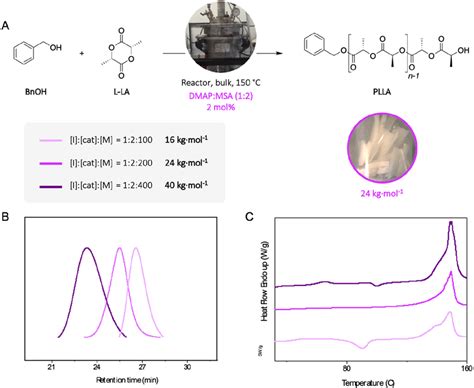 A Ring Opening Polymerization Of L Lactide Initiated By Benzyl