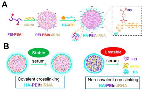 Molecules Special Issue Chitosan Based Nanomaterials For Biomedical