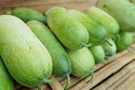 What Is Winter Melon? - Recipes.net