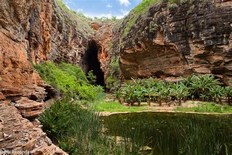 Chapada Festival De Len Is Promove A Campanha Bahia Sem Fogo