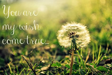 Youre My Wish Come True