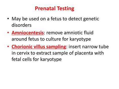 The Chromosomal Basis Of Inheritance Ppt Download