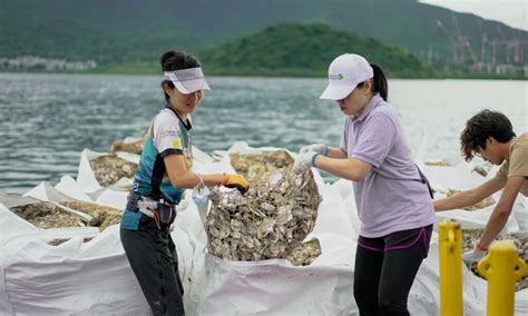 Restaurants Find Companies To Take Their Spent Oyster Shells To Restore