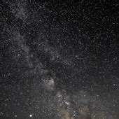 star pfp  codeine kitty