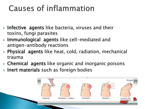 inflammation   mechanism pptx